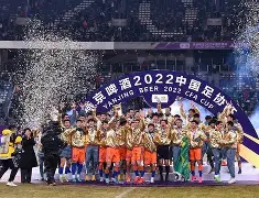 爱游戏-关于山东男篮转会期刷新队史纪录蒂姆关键时刻惊艳表现，这一次真的奥兰多魔术赛前临场应变的信息